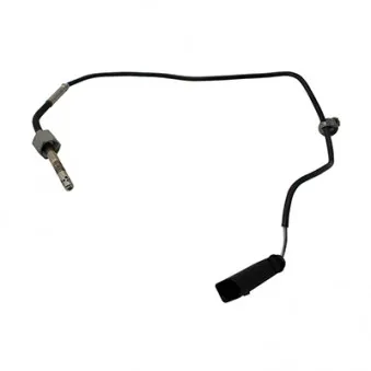Capteur, température des gaz HOFFER OEM 07Z906088R