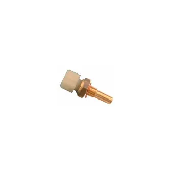 Sonde de température, liquide de refroidissement HOFFER OEM 55504