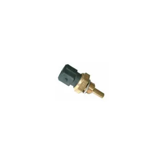 Sonde de température, liquide de refroidissement HOFFER OEM 53019