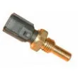 HOFFER 7472070 - Capteur, température d'huile