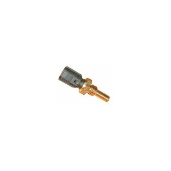 Capteur, température d'huile HOFFER OEM 1365057F00000