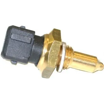Capteur, température d'huile HOFFER OEM nsc100870