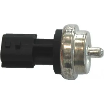 Sonde de température, liquide de refroidissement HOFFER OEM 1365067JG0000