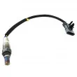 Sonde lambda HOFFER [74811010]