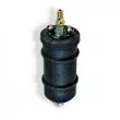 Pompe à carburant HOFFER [7506063]