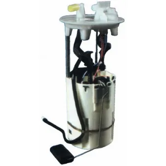 Unité d'injection de carburant HOFFER 7506564