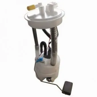 Unité d'injection de carburant HOFFER 7507086E