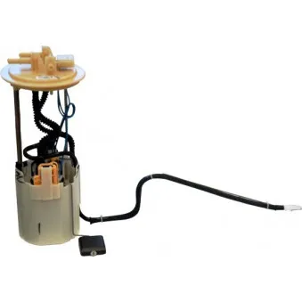 Unité d'injection de carburant HOFFER OEM 9064700994