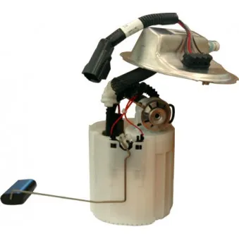 Unité d'injection de carburant HOFFER 7507294