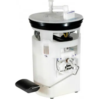 Unité d'injection de carburant HOFFER OEM 311102D030DS