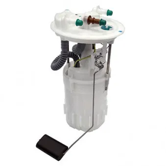Unité d'injection de carburant HOFFER OEM 04406501