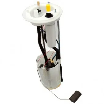 Unité d'injection de carburant HOFFER OEM 1367987080