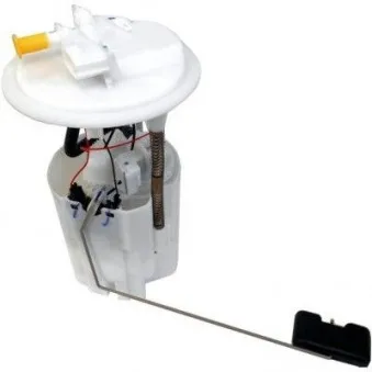 Unité d'injection de carburant HOFFER OEM 172020059R