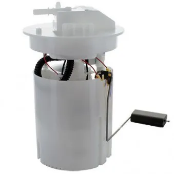 Unité d'injection de carburant HOFFER OEM C1B19H307BE