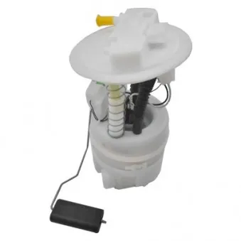 Unité d'injection de carburant HOFFER OEM 172024902R