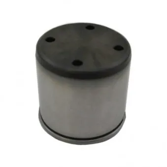 Pilon, Pompe à haute pression HOFFER OEM 06d109309f