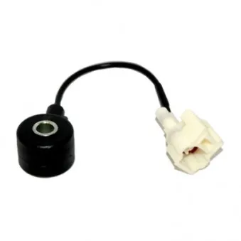 Capteur de cognement HOFFER OEM 22060AA061