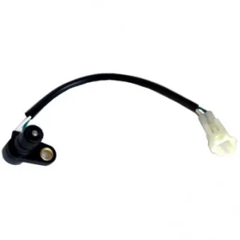 Capteur, vitesse/régime HOFFER OEM 2529S8