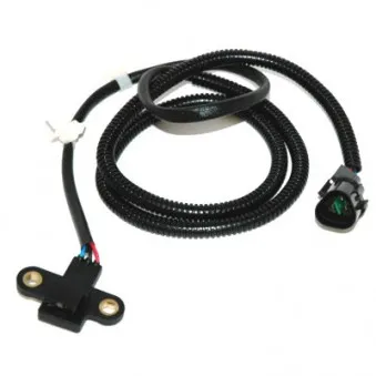 Capteur d'angle, vilebrequin HOFFER OEM 3931038400