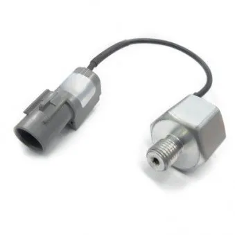 Capteur de cognement HOFFER 7517667