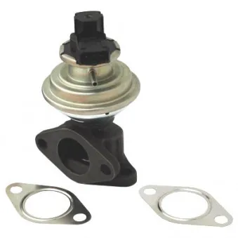 Vanne EGR HOFFER 7518036