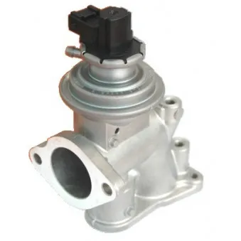 Vanne EGR HOFFER OEM 860441
