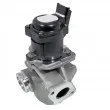 HOFFER 7518219 - Vanne EGR
