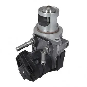 Vanne EGR HOFFER OEM 781087102