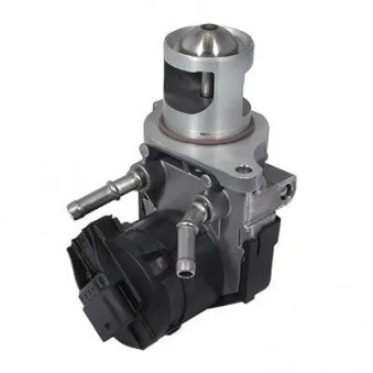 Vanne EGR HOFFER OEM 7810166