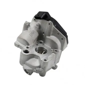 Vanne EGR HOFFER OEM A6511400660