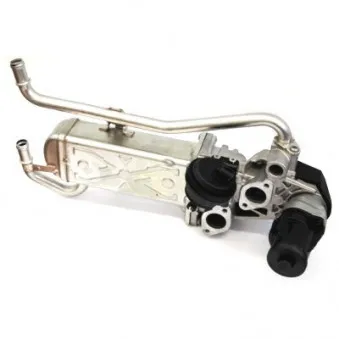 Vanne EGR HOFFER OEM 03P131512B