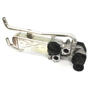 Vanne EGR HOFFER OEM 03L131512BH