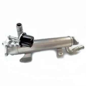 Radiateur, réaspiration des gaz d'échappement HOFFER OEM 03L131512B