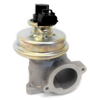 Vanne EGR HOFFER OEM 1446266