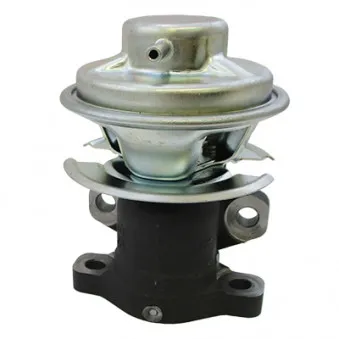 HOFFER 7518348 - Vanne EGR