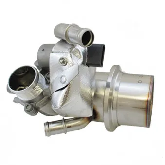 Radiateur, réaspiration des gaz d'échappement HOFFER OEM 135984