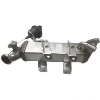 Radiateur, réaspiration des gaz d'échappement HOFFER OEM 04421211