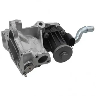 Module-EGR HOFFER 7518477