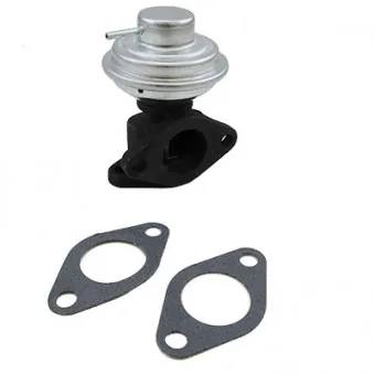Vanne EGR HOFFER 7518480