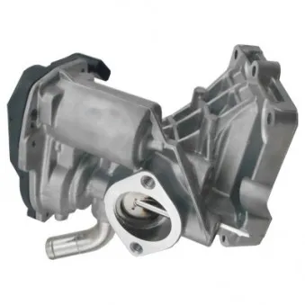 Vanne EGR HOFFER 7518486