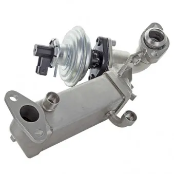 Module-EGR HOFFER OEM 7801942