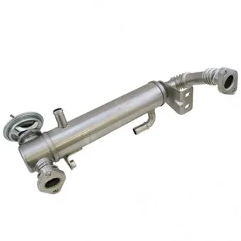 Radiateur, réaspiration des gaz d'échappement HOFFER OEM 504264081