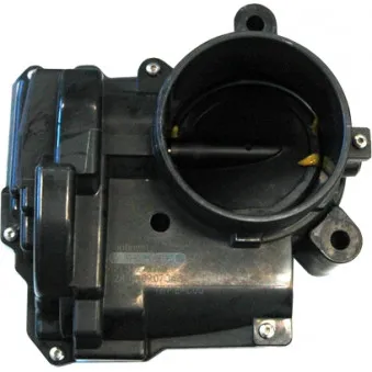 Corps papillon HOFFER OEM 163673