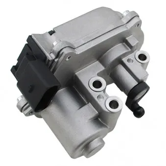 Element d'ajustage, soupapes de turburlence (tuyau d'admision) HOFFER OEM 059129086M