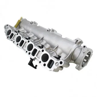 Module de tube d'admission HOFFER OEM 055210201