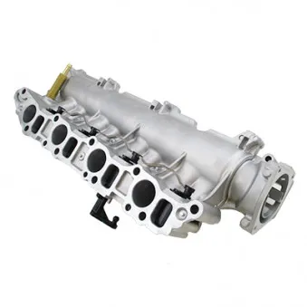 Module de tube d'admission HOFFER OEM 055210201