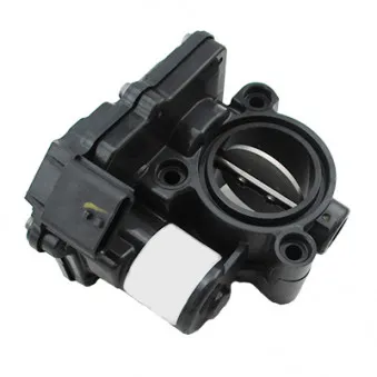 Corps papillon HOFFER OEM 161A06251R