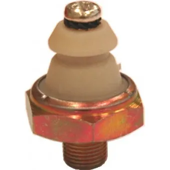 Indicateur de pression d'huile HOFFER OEM 022218501