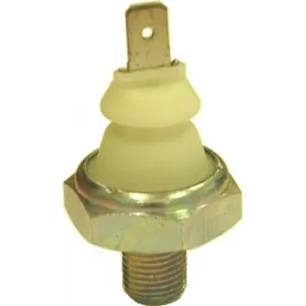 Indicateur de pression d'huile HOFFER OEM 056919081E