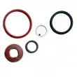 Kit de réparation, injecteur HOFFER [8029584]